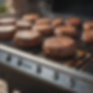 Magnificent A Comprehensive Examination of the Weber Genesis 2014 Grill Magnificent A Comprehensive Examination of the Weber Genesis 2014 Grill