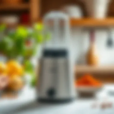 Magnificent The Essential Guide to Small Spice Blenders