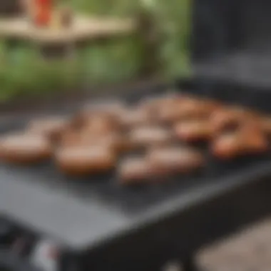 A Comprehensive Examination of the Weber Genesis 2014 Grill Summary A Comprehensive Examination of the Weber Genesis 2014 Grill Summary