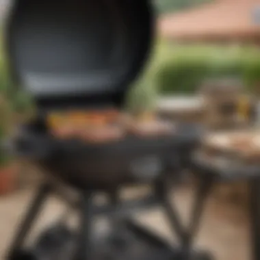 A Comprehensive Guide to the Weber Q 240 Electric Grill Introduction