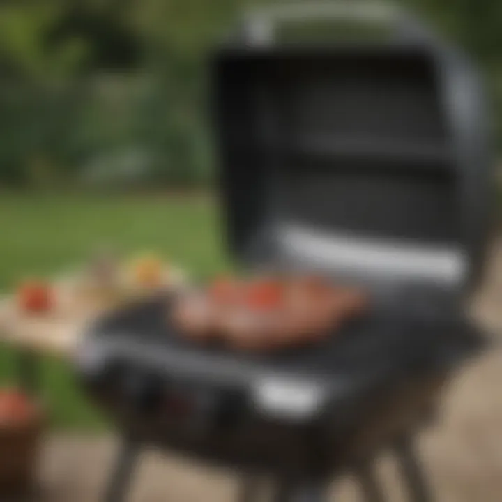 Notable A Comprehensive Guide to the Weber Q 240 Electric Grill