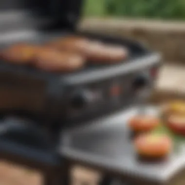 A Comprehensive Guide to the Weber Q 240 Electric Grill Summary