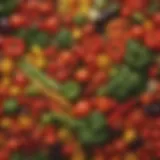 Colorful assortment of fresh vegetables used in chili