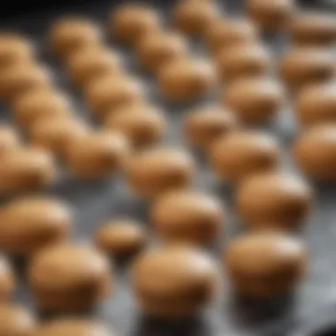Cooling Perfectly Baked Macaroons A perfectly baked tray of macaroons cooling on a wire rack
