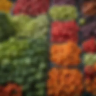 A vibrant display of assorted vegetables at a farmers market