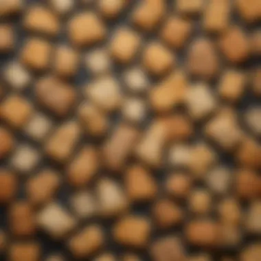 Variety of Wasa Cracker Flavors Variety of Wasa cracker flavors arranged aesthetically