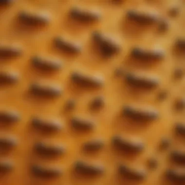 Close-up of bees wrap showcasing its texture and design