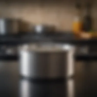 Elegant Stainless Steel Pot Elegant stainless steel pot suitable for smooth top stoves
