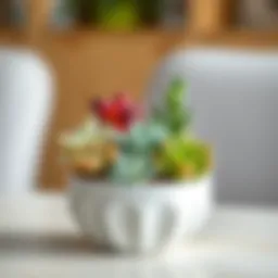 An elegant arrangement of various small succulents in a stylish pot.