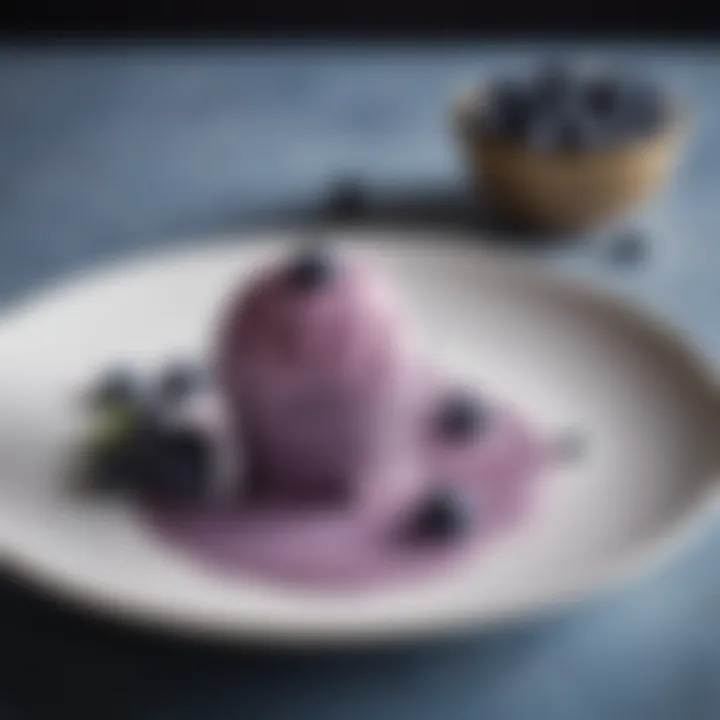 An elegant scoop of blueberry sorbetto served on a delicate dessert plate