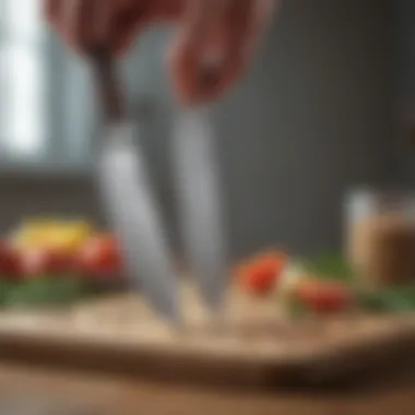 Materials used in Chicago Cutlery Fusion Knife Set