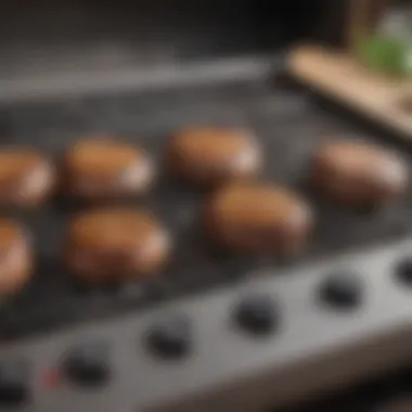 Precision Control with Coleman Close-up of the grill's adjustable temperature controls