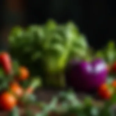 Companion Planting: Understanding Which Vegetables Grow Best Together Summary