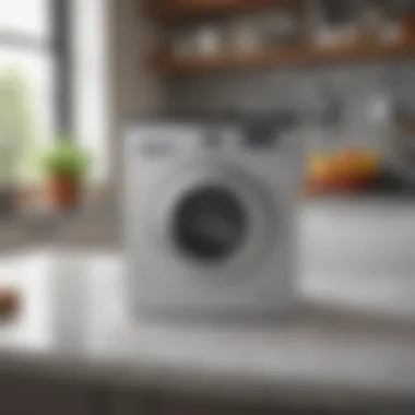 Cleaning agents recommended for maintaining washer hygiene