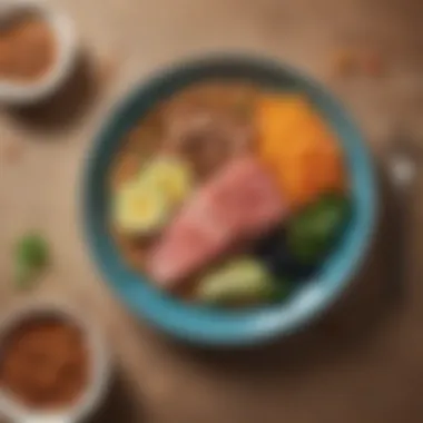 Incorporating Lean Proteins and Healthy Fats A colorful plate featuring lean proteins and healthy fats