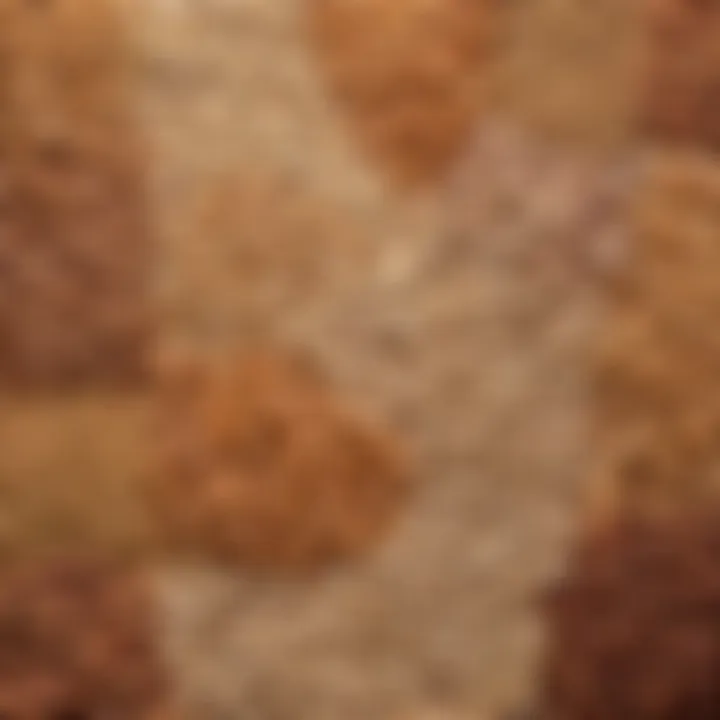 Whole grains and legumes displayed in an appealing manner