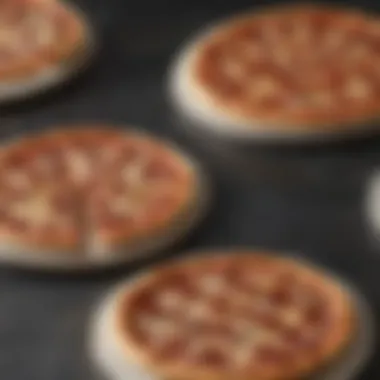 Comparative Analysis of Pizza Stones A comparison of Cuisinart pizza stone with other baking options