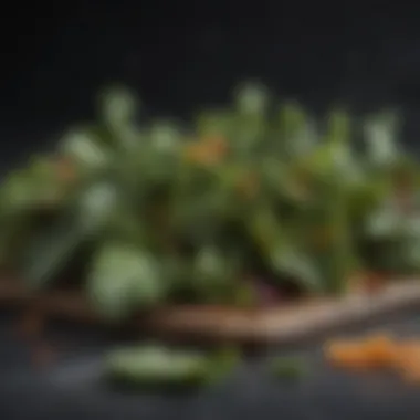 An artistic arrangement of kale chips seasoned with spices