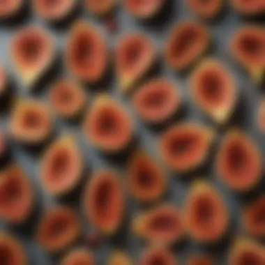 Textures of Dehydrated Figs A close-up of dehydrated figs highlighting their unique textures, emphasizing their health benefits.