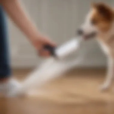 A lint roller in action removing dog hair from clothing