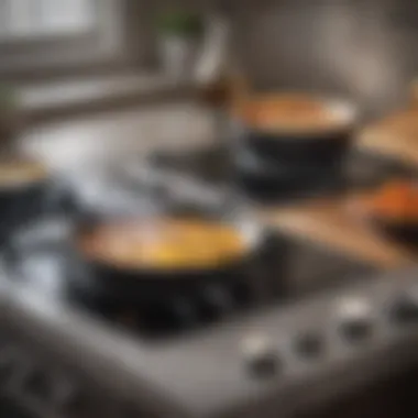An induction stove top exhibiting impeccable maintenance Maintained induction stove top