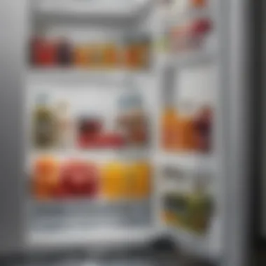 Interior layout of a compact refrigerator showcasing storage options