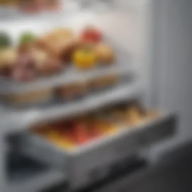 Side-by-side comparison of affordable and premium refrigerator drawers.