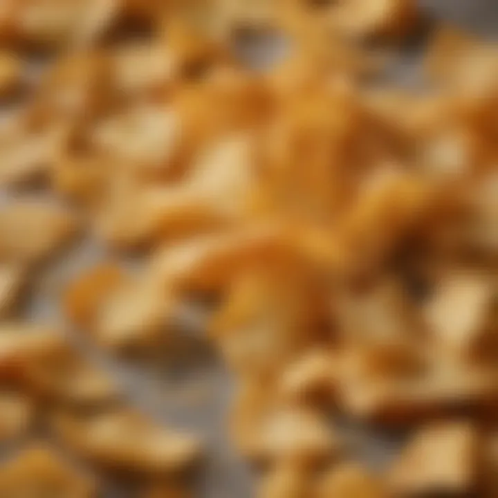 A close-up of crispy cheese chips showcasing texture and flavor