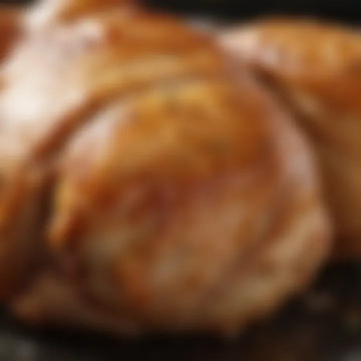 Close-up of juicy, tender chicken thigh