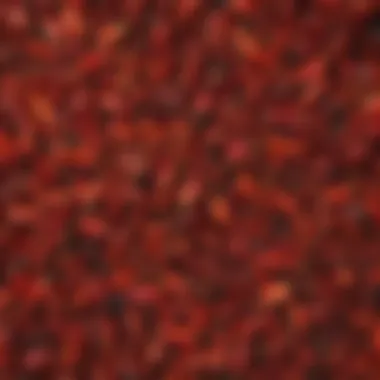An assortment of dried chilis highlighting their textures and colors
