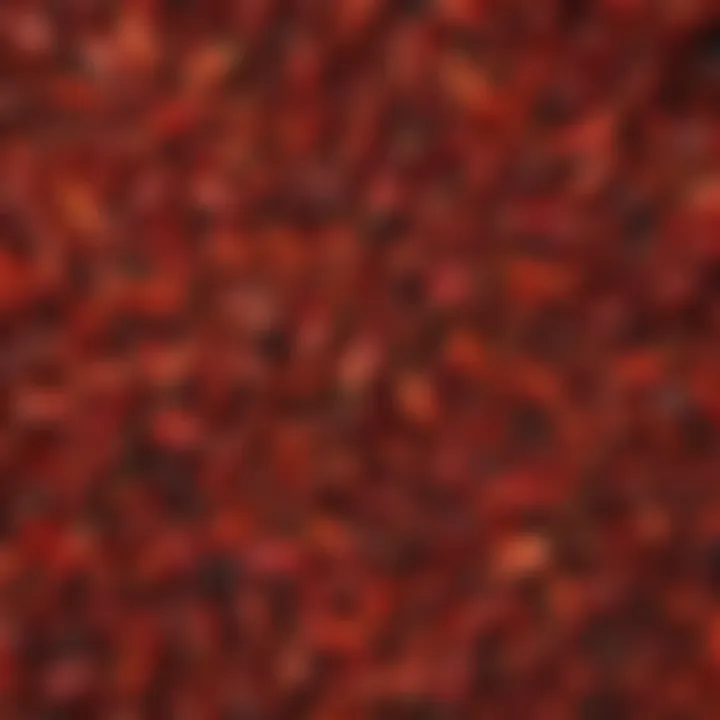 An assortment of dried chilis highlighting their textures and colors