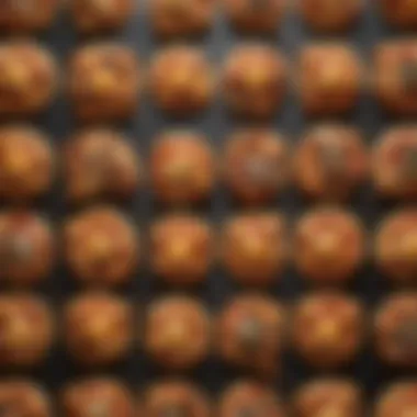Diverse Flavor Profiles in Croissant Pizzas Artfully arranged croissant pizzas with diverse flavor profiles