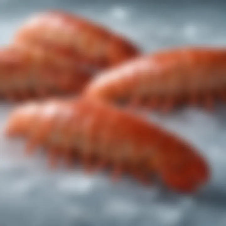 An array of frozen cold water lobster tails displayed on ice, highlighting their premium quality.