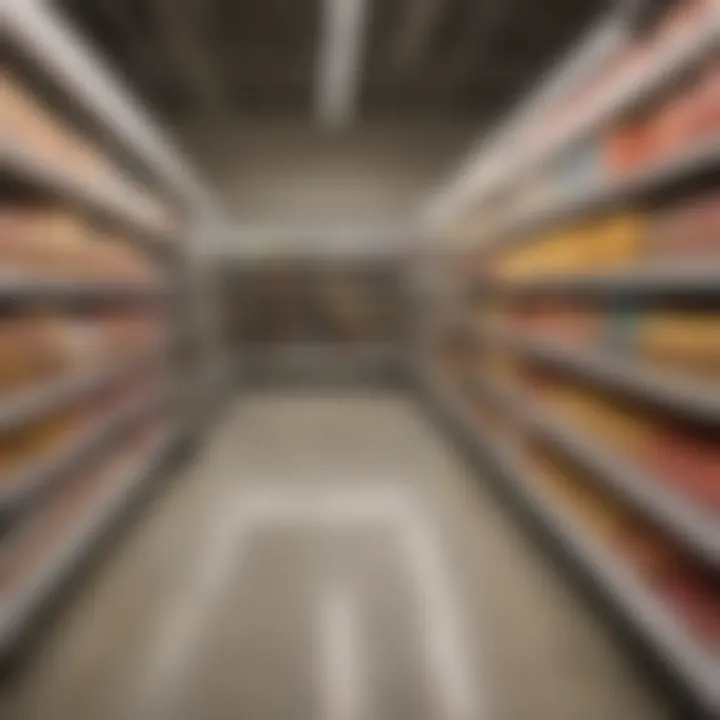 Grocery store aisle stocked with frozen dessert options