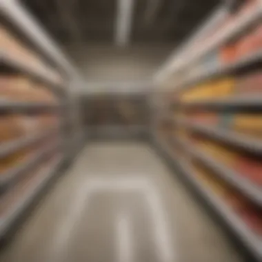 Frozen Dessert Aisle at the Grocery Store Grocery store aisle stocked with frozen dessert options