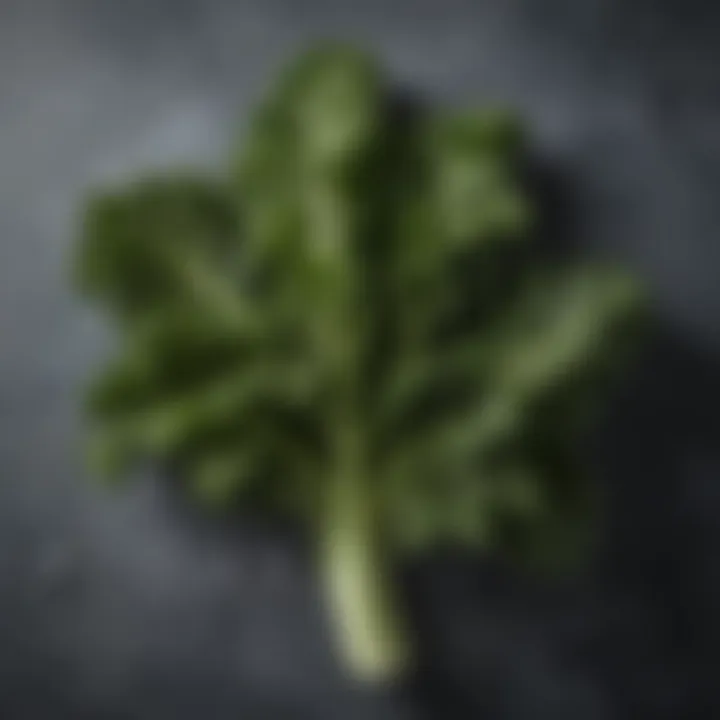 Curly kale leaves showcasing their rich green texture.