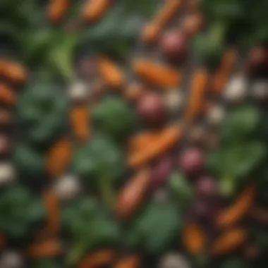 Potassium-Rich Vegetables A selection of vegetables rich in potassium like spinach and sweet potatoes