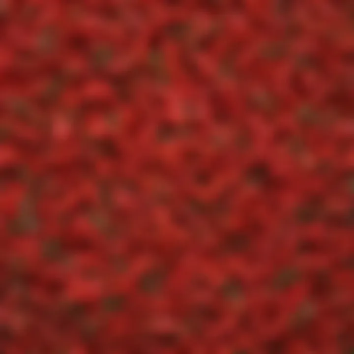 Close-up of the fresh ingredients used in Wendy's large chilli