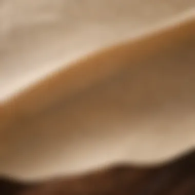 Close-up view of printed parchment paper showcasing its texture