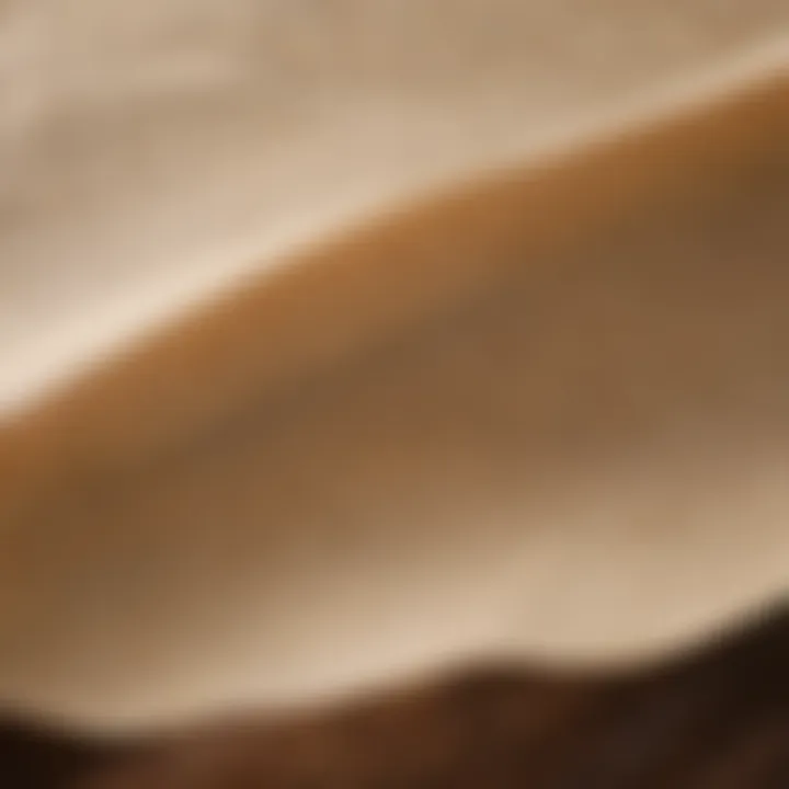 Close-up view of printed parchment paper showcasing its texture