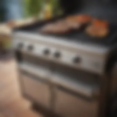 Radiant BBQ Grill Safety Features Safety features of a radiant BBQ grill highlighted