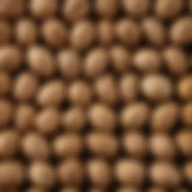 A vibrant assortment of raw peanuts in their shells on a wooden table