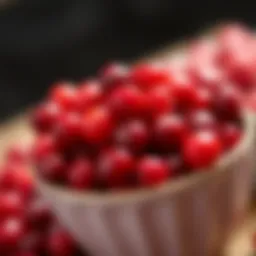 A vibrant bowl of fresh Wegmans cranberries showcasing their rich color and texture