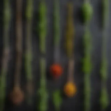 Diverse Herbs for Flavor Enhancement A vibrant spread of various herbs used in culinary arts