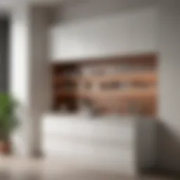 Stylish short cabinet with shelves and doors enhancing kitchen aesthetics