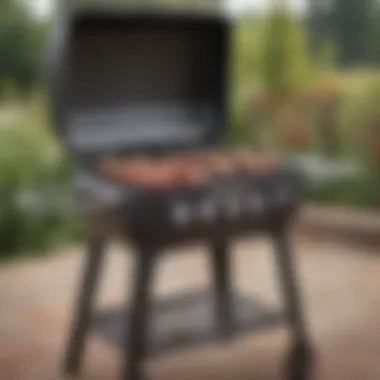 Variety of small propane barbecue models
