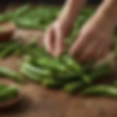 Fresh Okra Harvest Freshly harvested okra showcasing vibrant green color