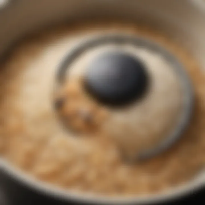 Close-up of rice grains cooked to perfection in a Japanese rice cooker