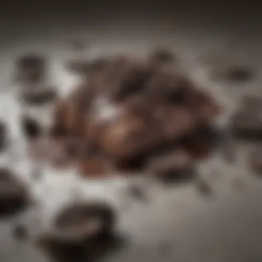Melted Chocolate with Oreo Crumbles A close-up view of melted chocolate and crumbled Oreo pieces
