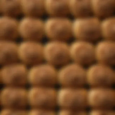 Delightful Presentation of Nut Rolls A beautifully arranged platter of fresh Polish nut rolls showcasing their golden-brown crust and rich filling.